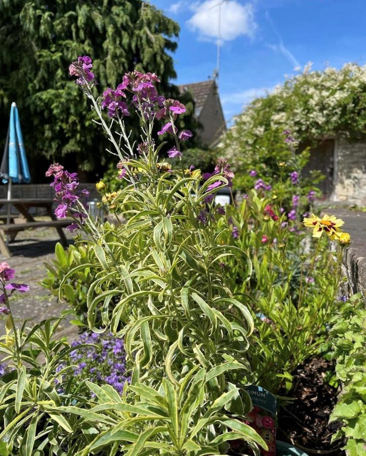 The Bell At Old Sodbury Hotel Chipping Sodbury Exterior photo
